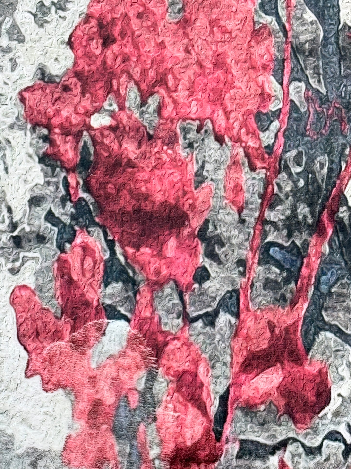 Floral Modern Area Rug | charcoal pink grey | Size 80x150 cm (2.7x4.11)ft