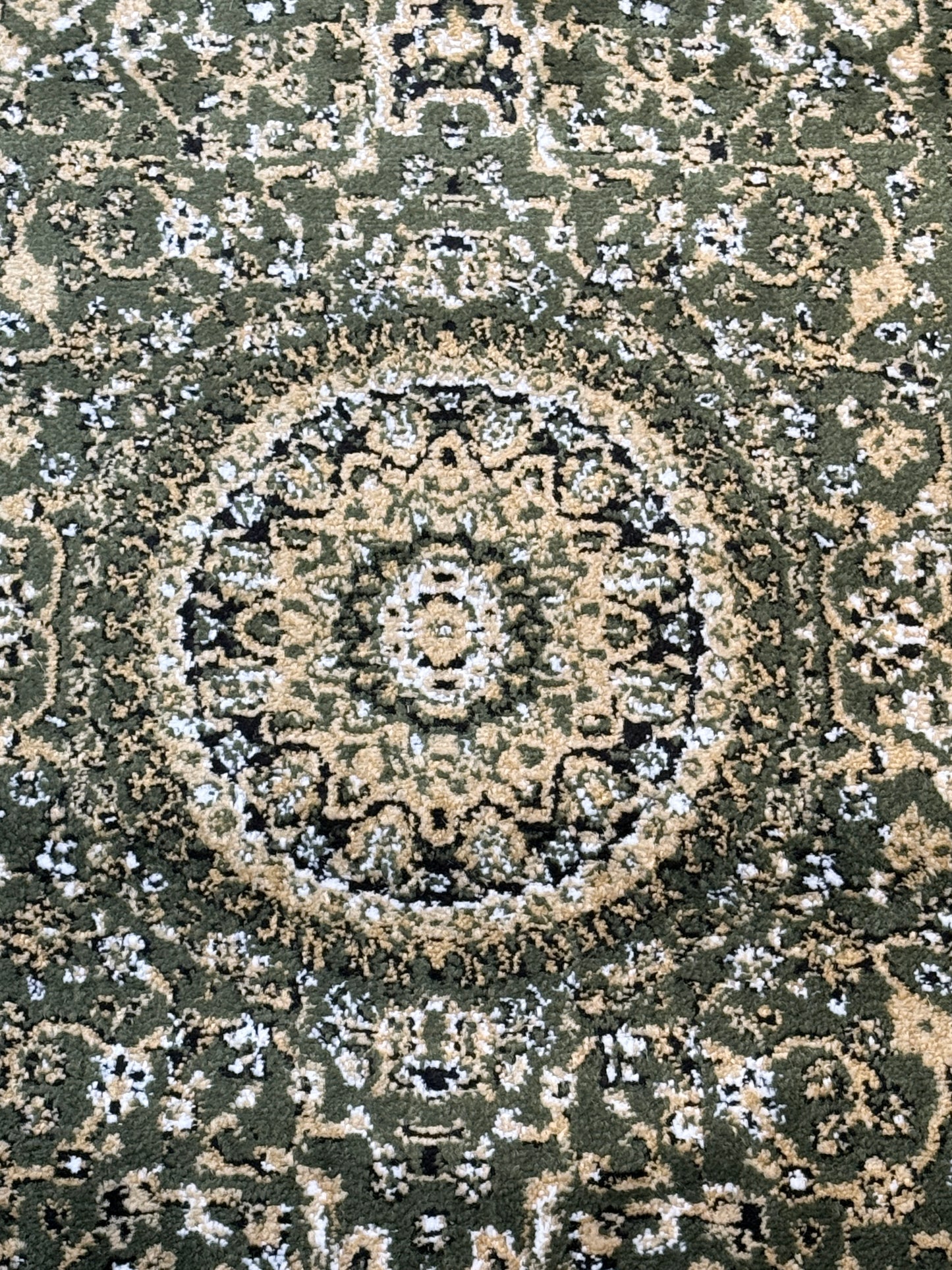 Persian Style Hallway Runner | Green Cream Beige Black | Size 2.7 x 13.2 ft