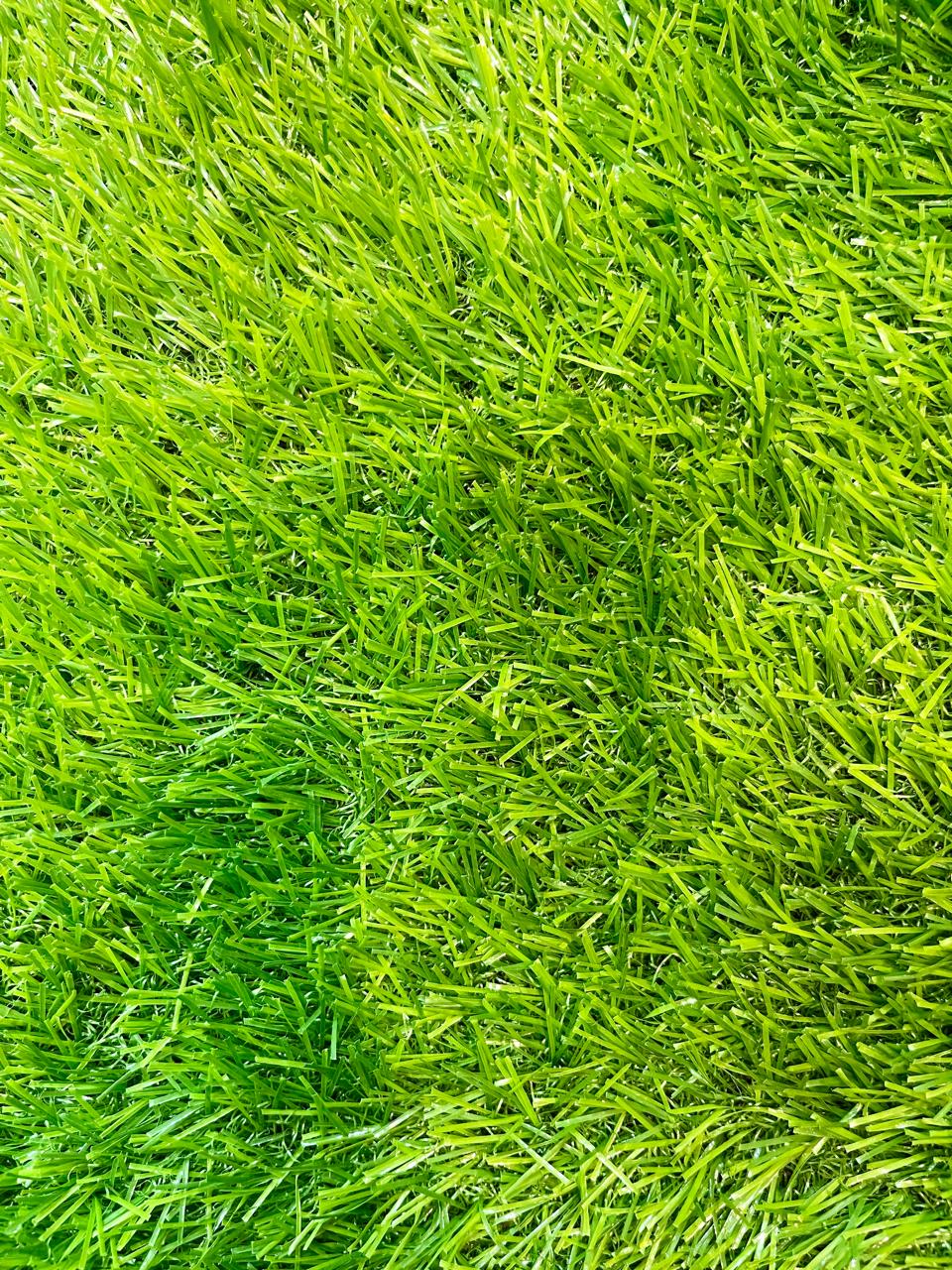Artificial Grass