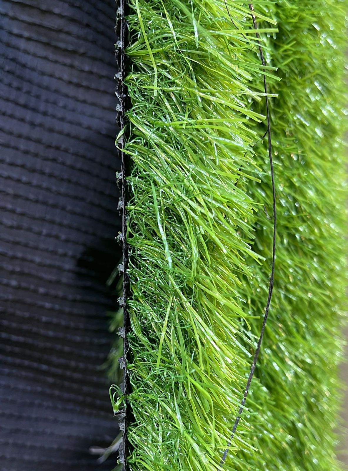 Artificial Grass
